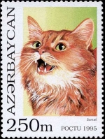 Cat stamp